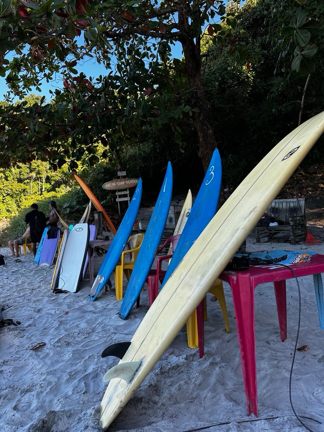 Pranchas numeradas na praia