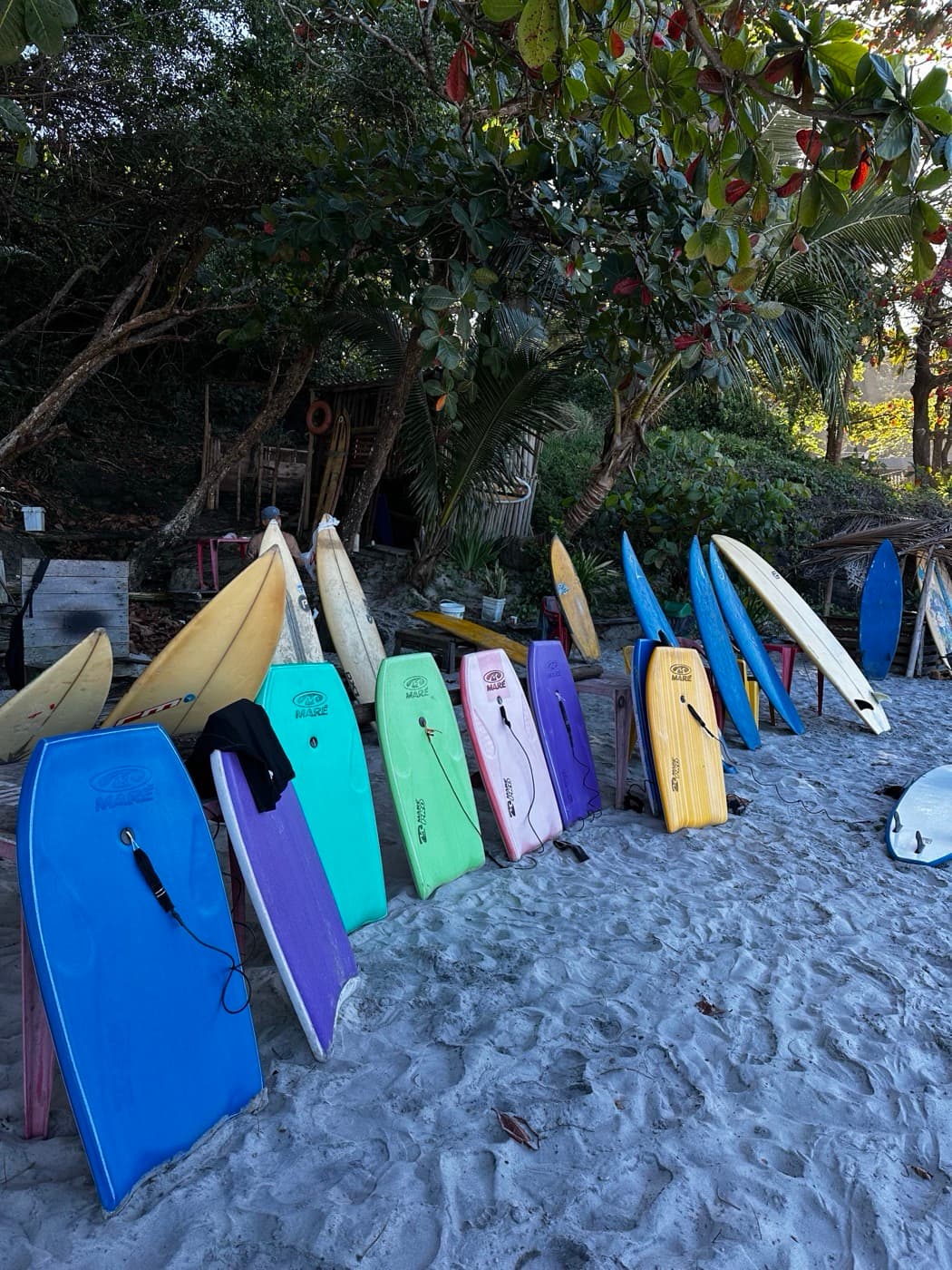 Bodyboards coloridos na praia